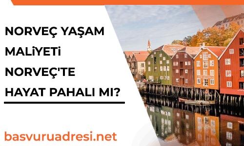 norvec yasam maliyeti norvecte hayat pahali mi